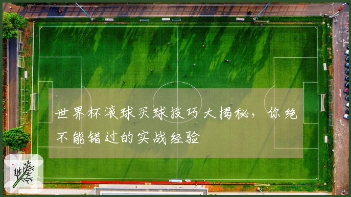 世界杯滚球买球技巧大揭秘，你绝不能错过的实战经验