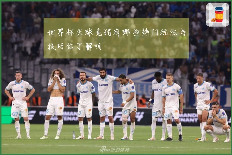 世界杯买球竞猜有哪些热门玩法与技巧你了解吗