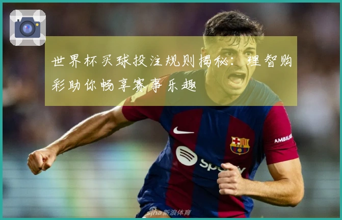 世界杯买球投注规则揭秘：理智购彩助你畅享赛事乐趣