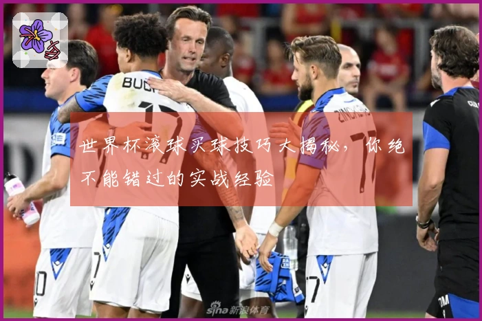 世界杯滚球买球技巧大揭秘，你绝不能错过的实战经验