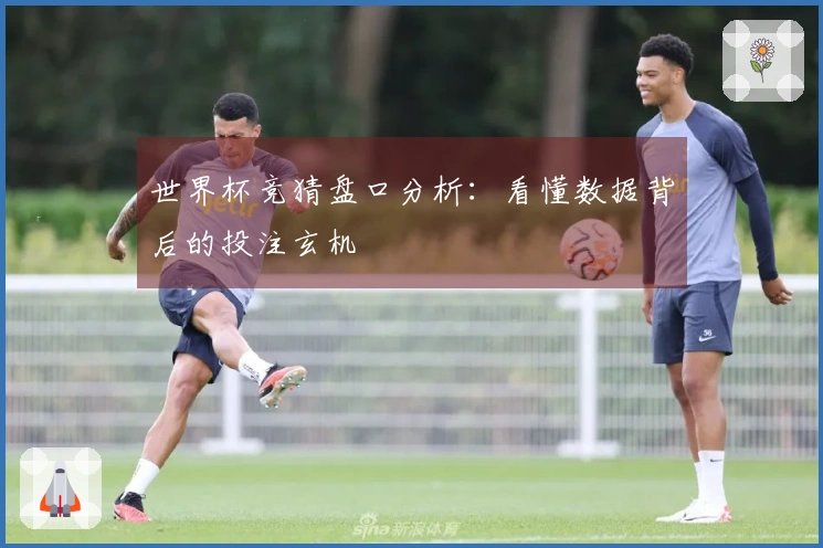 世界杯竞猜盘口分析：看懂数据背后的投注玄机